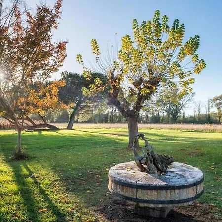 Maison Landaise Avec Jardin Clos, Ideal Pour Animaux Lacquy