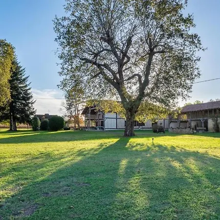 Maison Landaise Avec Jardin Clos, Ideal Pour Animaux * Lacquy
